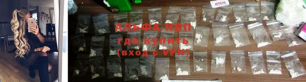 амф Кирсанов