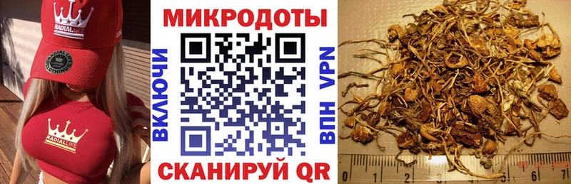 Псилоцибиновые грибы Magic Shrooms  darknet Telegram  Боровичи 