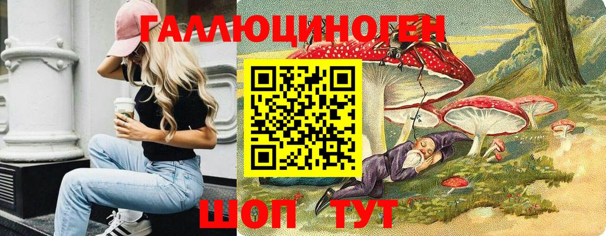 Псилоцибиновые грибы Cubensis Боровичи
