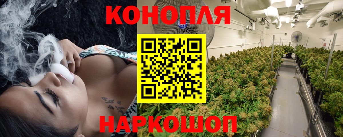 Боровичи  Бошки марихуана White Widow  МАРИХУАНА семена  Шишки марихуана конопля  Вход с VPN 